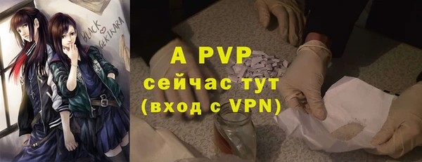 скорость Белокуриха