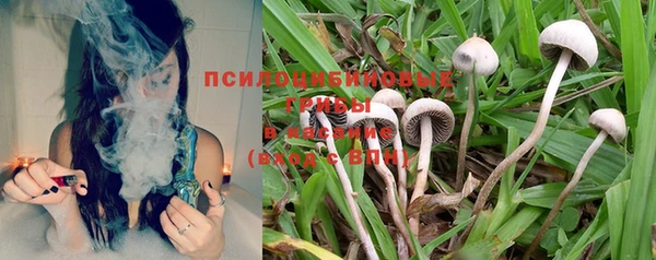 скорость Белокуриха